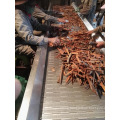 Chinese Cheap Price Good Quality Cinnamon/Cassia Broken